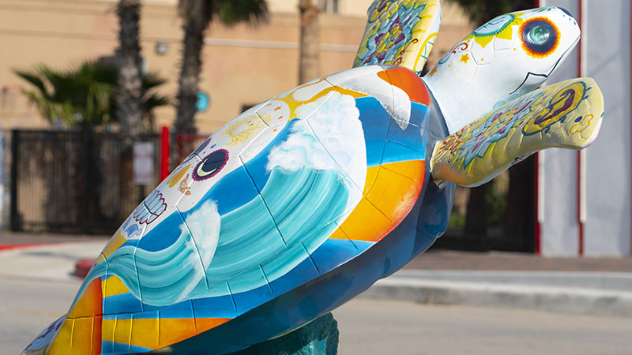 Galveston Enjoys Bright Turtle Statues but Repairing Them Can Be a Hassle